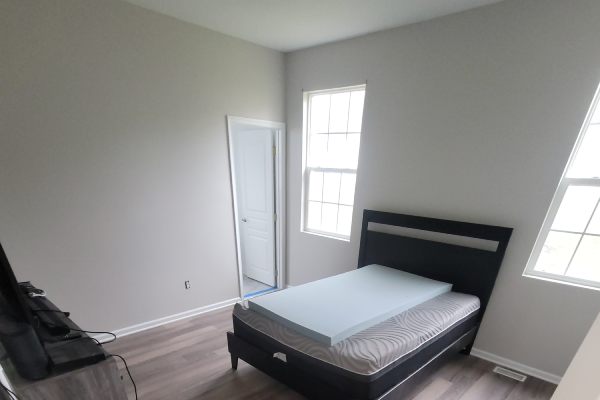 Painting Services